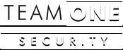 teamonesecurity logo header